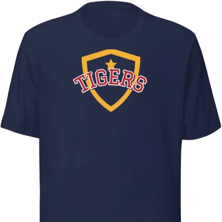 Team Jersey shirt design
